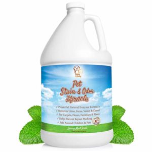 Pet Stain & Odor Miracle – Enzyme Cleaner