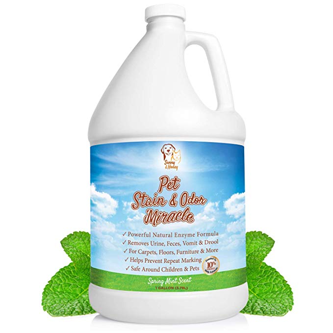 Sunny & Hamoney Pet Stain and Odor Remover-The Best Overall Pet Stain and Odor Remover