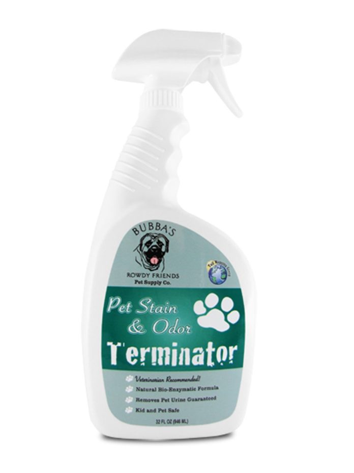 Best Carpet Cleaner for Pets and Shampoos for Pet Stains in 2023