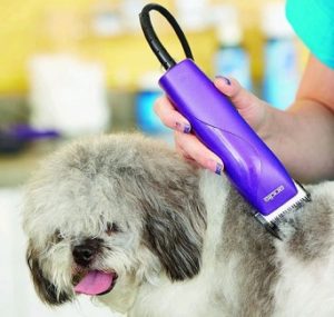 best hair clippers for dog grooming