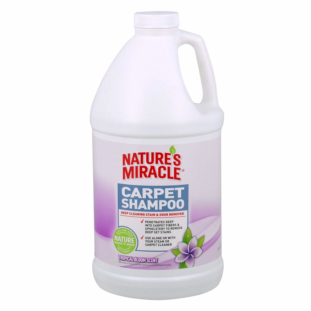 Best Carpet Cleaner for Pets and Shampoos for Pet Stains in 2023
