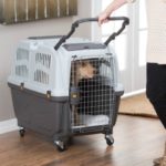 8 Best Dog and Pet Crates Approved by Airline in 2023 – Reviews & Buying Guide