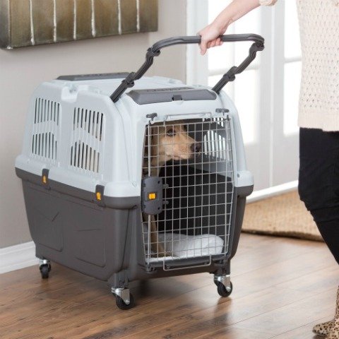 iata compliant pet crate