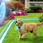 Best Invisible Dog Fences of 2023 (Wireless, Electric, Underground) Reviews & Buying guide