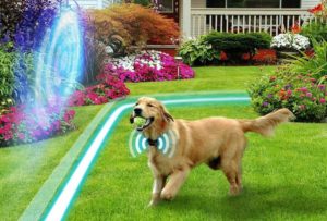 9 Best Invisible Dog Fences for 2020 