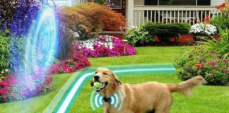 Best Invisible Dog Fences of 2023 (Wireless, Electric, Underground) Reviews & Buying guide