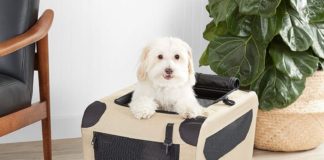 Best Soft Dog Crates for 2023 – Reviews & Buying Guide