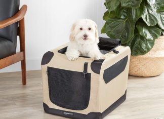 Best Soft Dog Crates for 2023 – Reviews & Buying Guide