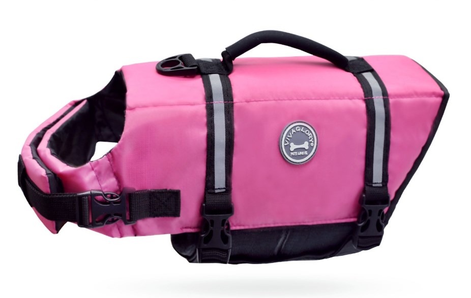 5 Best Life Jackets For Dogs in 2023 Reviews & Buying Guide