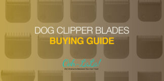 Dog Clipper Blades Buying Guide & Tips Dog Clipper Blades Buying Guide