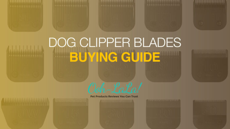 dog clipper blade chart
