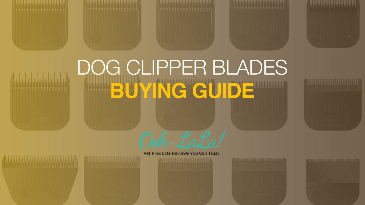 Dog Clipper Blades Buying Guide & Tips - OohLaLaPets.com