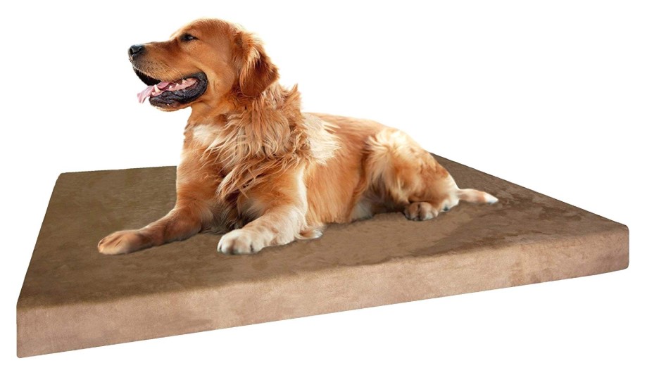 Best Dog Cooling Pads and Mats in 2022 Expert Reviews