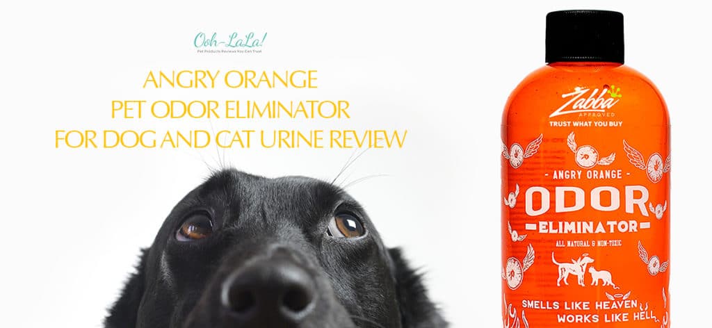 Angry Orange Pet Odor Eliminator for Dog and Cat Urine Review