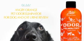 Angry Orange Pet Odor Eliminator for Dog and Cat Urine Review Angry Orange Pet Odor Eliminator for Dog and Cat Urine Review