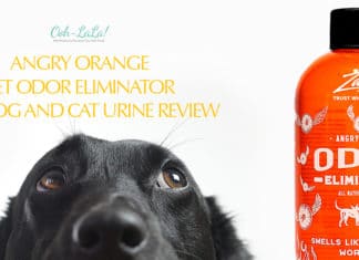 Angry Orange Pet Odor Eliminator for Dog and Cat Urine Review Angry Orange Pet Odor Eliminator for Dog and Cat Urine Review