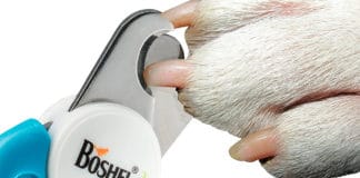 Boshel Dog Nail Clippers Review — Top Choice For Large Breed Boshel Dog Nail Clippers Review
