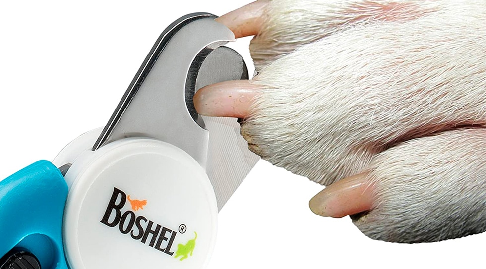 Boshel Dog Nail Clippers Review