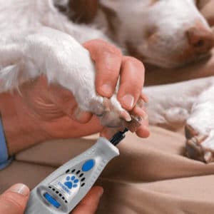 Dremel Pet Nail Grinder 2020 Review