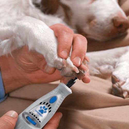 Dremel 7300-PT Dog Nail Grinder Review – Best Dog Nail Grinder