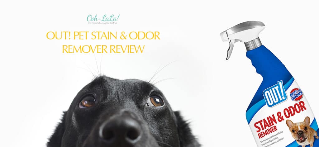 OUT! Pet Stain & Odor Remover Review