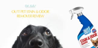 OUT! Pet Stain & Odor Remover Review – Budget-Friendly Option OUT! Pet Stain & Odor Remover Review