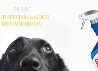 OUT! Pet Stain & Odor Remover Review – Budget-Friendly Option OUT! Pet Stain & Odor Remover Review