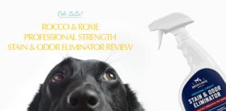 Rocco & Roxie Professional Strength Stain & Odor Eliminator Review Rocco & Roxie Stain and Odor Eliminator Review