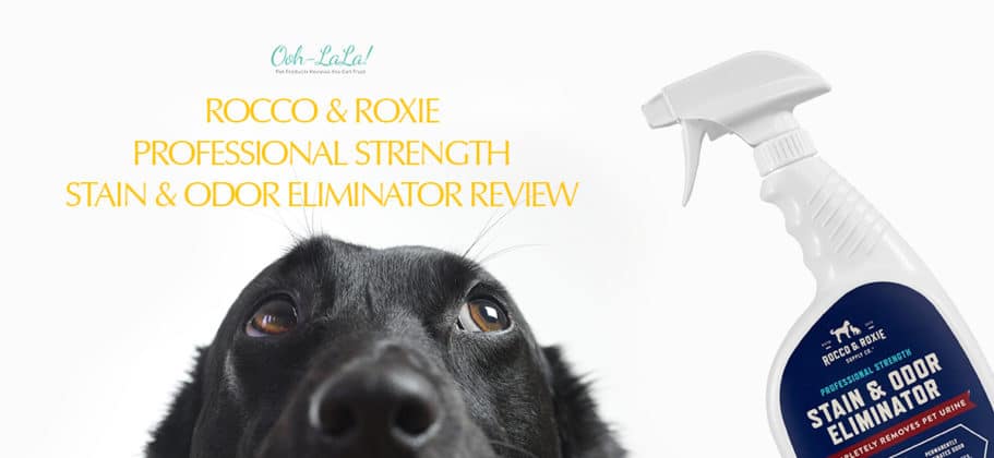 Rocco & Roxie Professional Strength Stain & Odor Eliminator Review