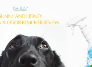 Sunny and Honey Pet Stain & Odor Remover Review – Best Enzyme Cleaner Overall Sunny and Honey Pet Stain & Odor Remover Review – Best Enzyme Cleaner Overall
