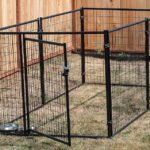 Best Outdoor Dog Kennels for 2023 (Top 5) – Reviews & Buyer’s Guide