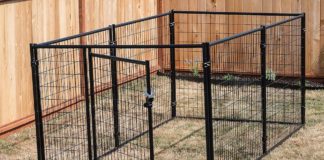 Best Outdoor Dog Kennels for 2023 (Top 5) – Reviews & Buyer’s Guide