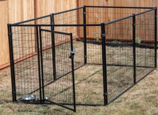 Best Outdoor Dog Kennels for 2023 (Top 5) – Reviews & Buyer’s Guide