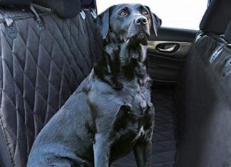 Plush Paws Pet Car Seat Cover Hammock Review – Great Cover with Pet Harnesses