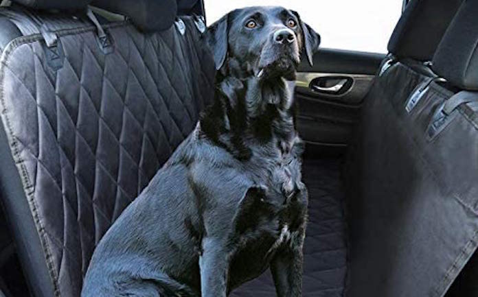 Plush Paws Pet Car Seat Cover Hammock Review
