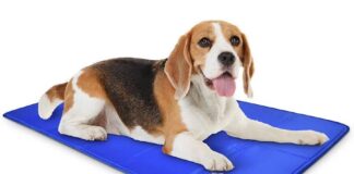 Arf Pets Pet Dog Self Cooling Mat Review Arf Pets Pet Dog Self Cooling Mat Review