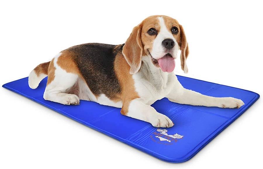 Arf Pets Dog Self Cooling Mat Review