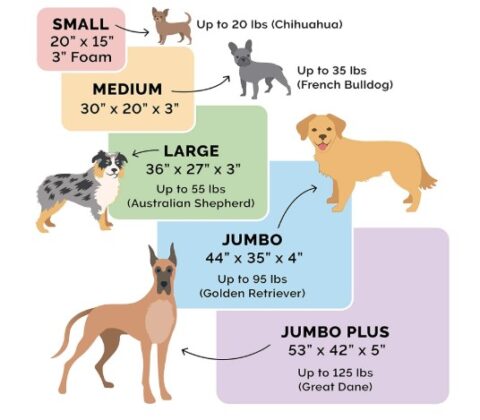 Lands End Dog Bed Size Chart