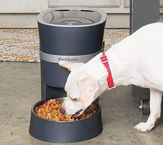 Best Pet Feeders of Jan 2023 (Top 5) Expert Reviews